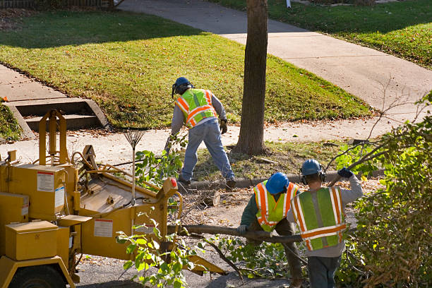 Lawn Watering Services in Hunters Creek, FL